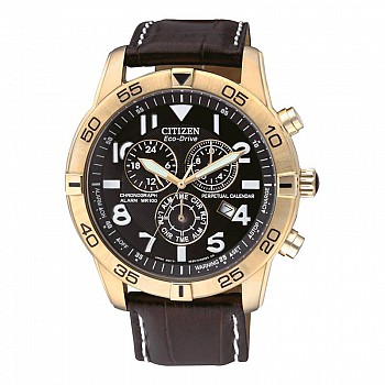 Citizen Eco-Drive Perpetual Calendar BL5472-01E