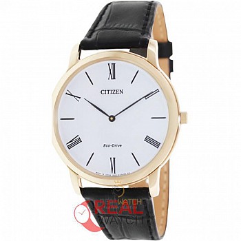 Đồng hồ nam CITIZEN Eco-Drive AR1113-12B