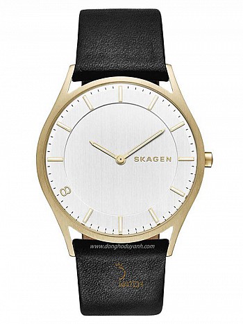 Đồng hồ Nam SKAGEN SKW6246