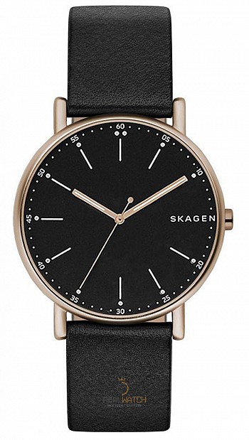 Đồng hồ Nam SKAGEN SKW6401