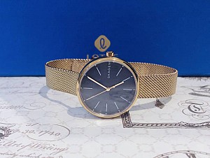 Thương hiệu đồng hồ đình đám - Skagen
